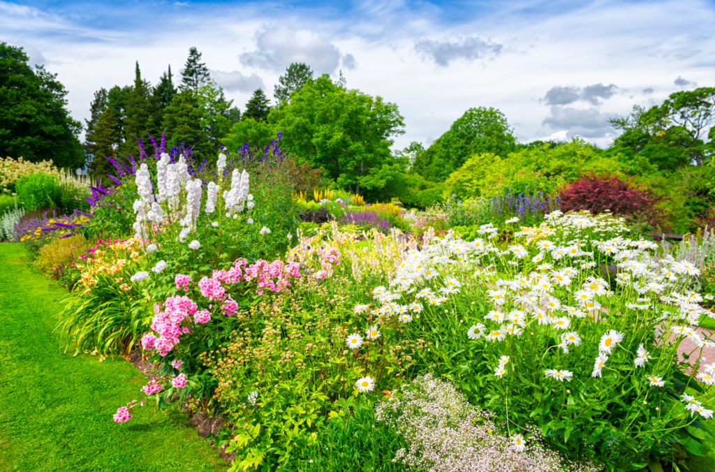 Fleurs