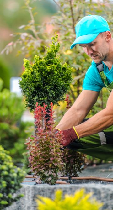 Entretien de vos espaces verts